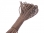 images/v/201206/13403518101_parachute lanyard-1.JPG.jpg